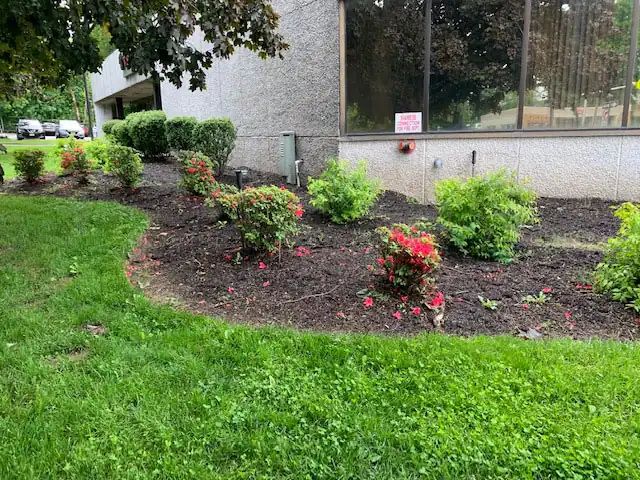Pena Landscaping & Construction and Snow Plowing LLC
