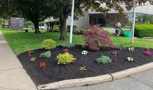 img-Landscaping Services