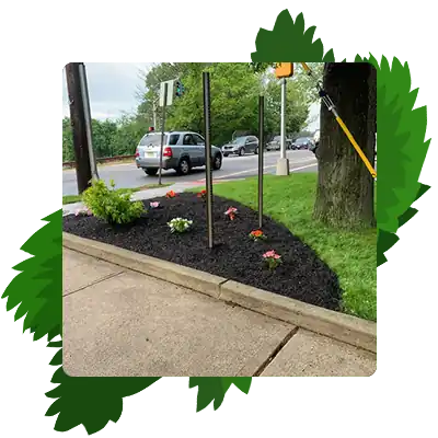 Landscaping Services