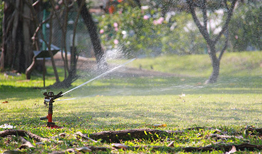 img-Sprinkler Systems